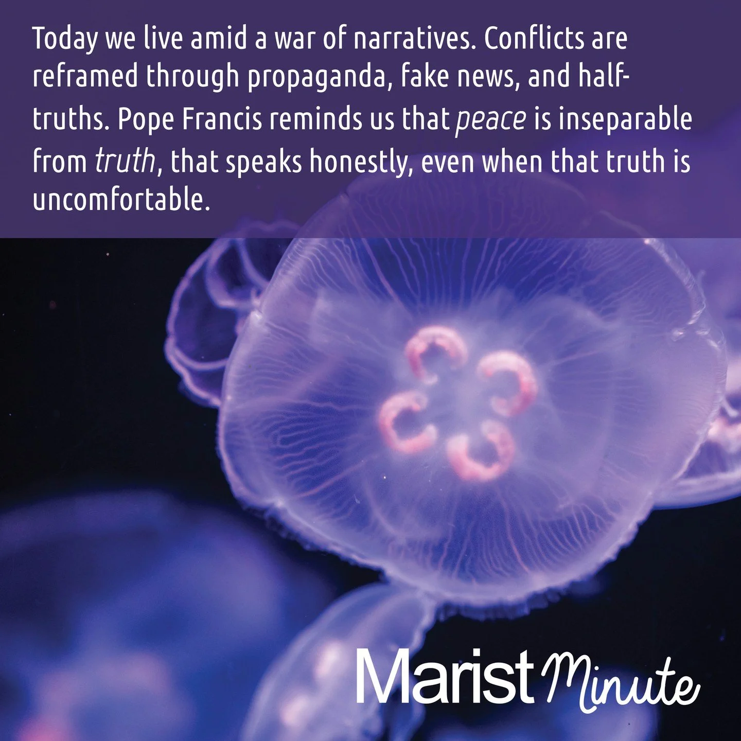 What narratives do I help construct through my words and actions?
How can I discern truth and contribute to narratives of peace?
Take a quiet moment to ponder this month's Marist Minute reflection https://buff.ly/oV2IXry
More Marist Minute reflection