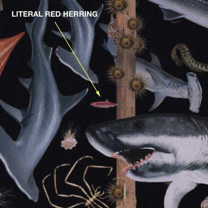 dry_redherring.jpg