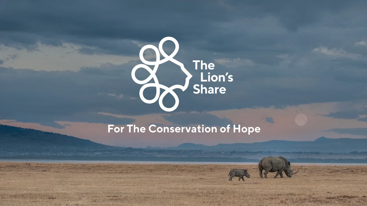 The-Lions-Share-1.jpg