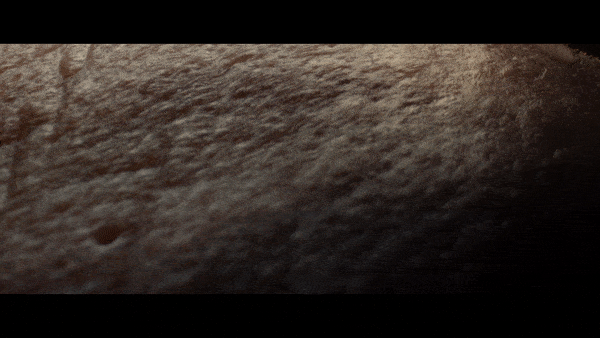 D Belong_SLP_Forehead_45_02.gif