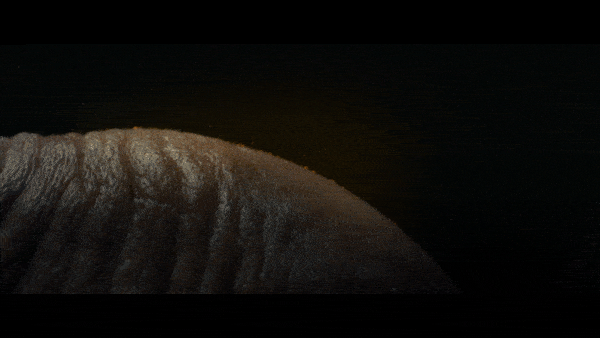 D Belong_SLP_Forehead_45_03.gif