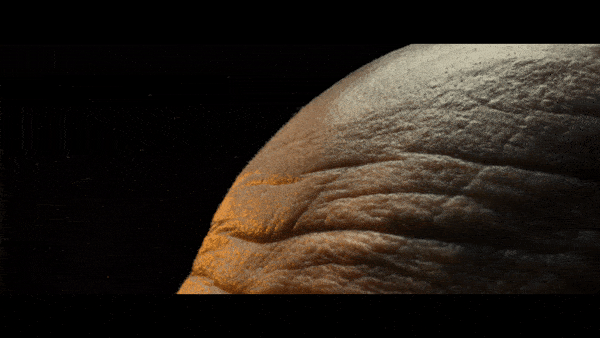 D Belong_SLP_Forehead_45_04.gif