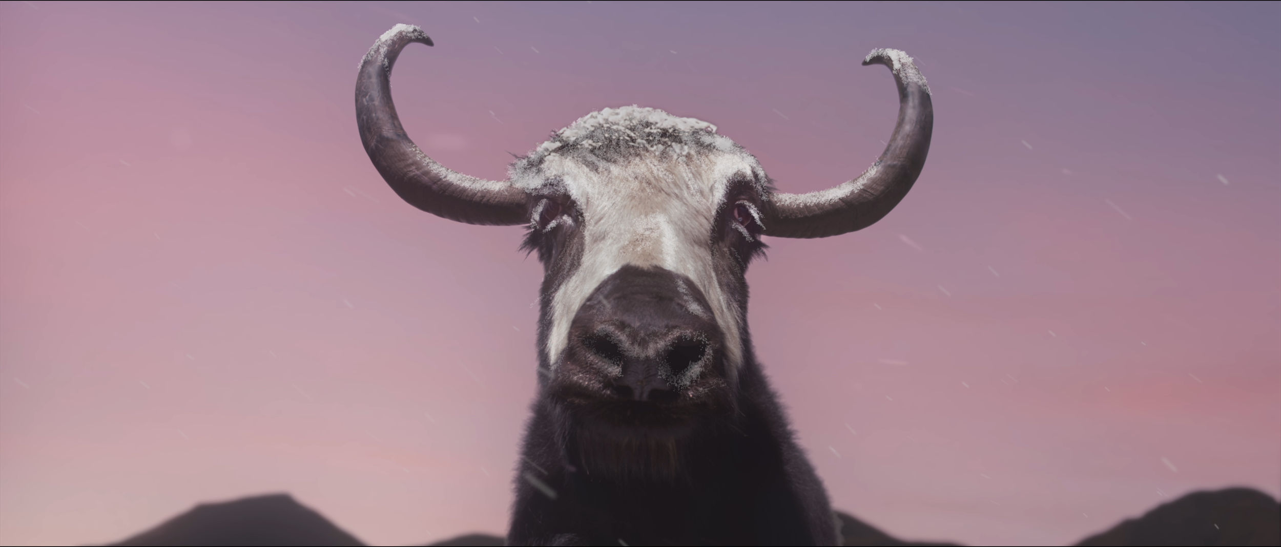 IMAGE #3 of 5.png