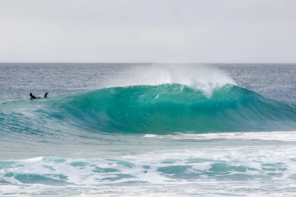 Surfboards - Check. Puffer jackets & beanies - Check Check.