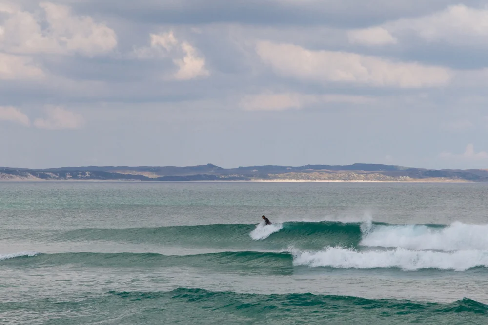king-island-phoques-surf-01.jpg