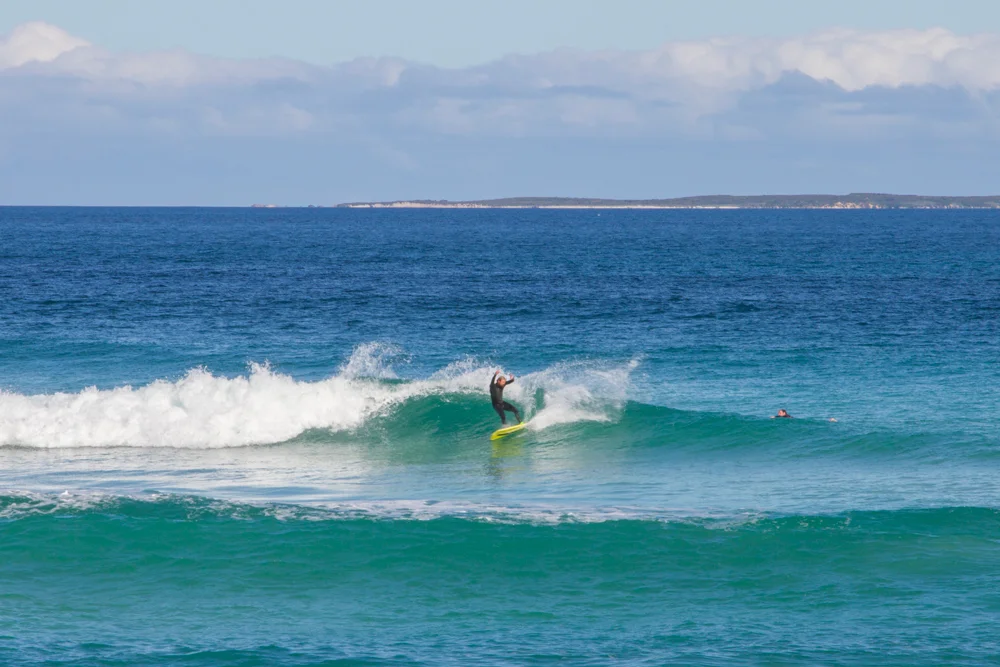 king-island-phoques-surf-02.jpg