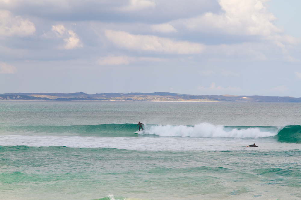 king-island-phoques-surf-03.jpg