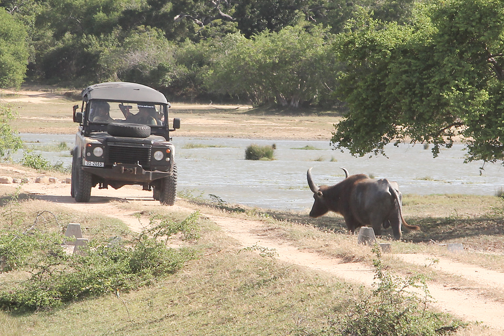 I'm glad we hired a 4WD and not the Tuk Tuk this day.