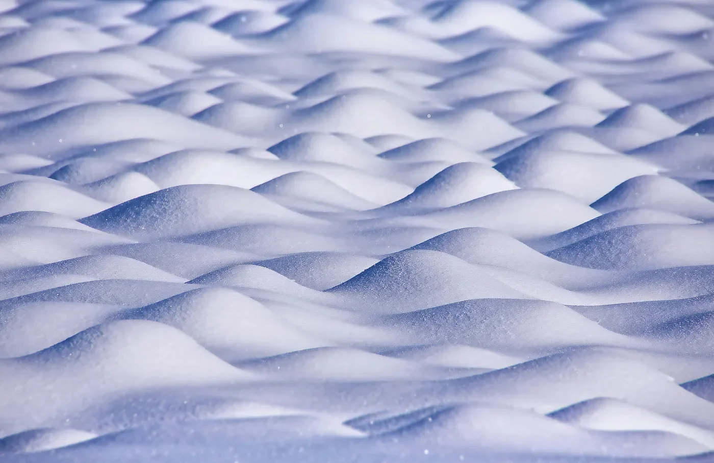 Wind-shaped snowdrifts forming soft repeating curves across the ground