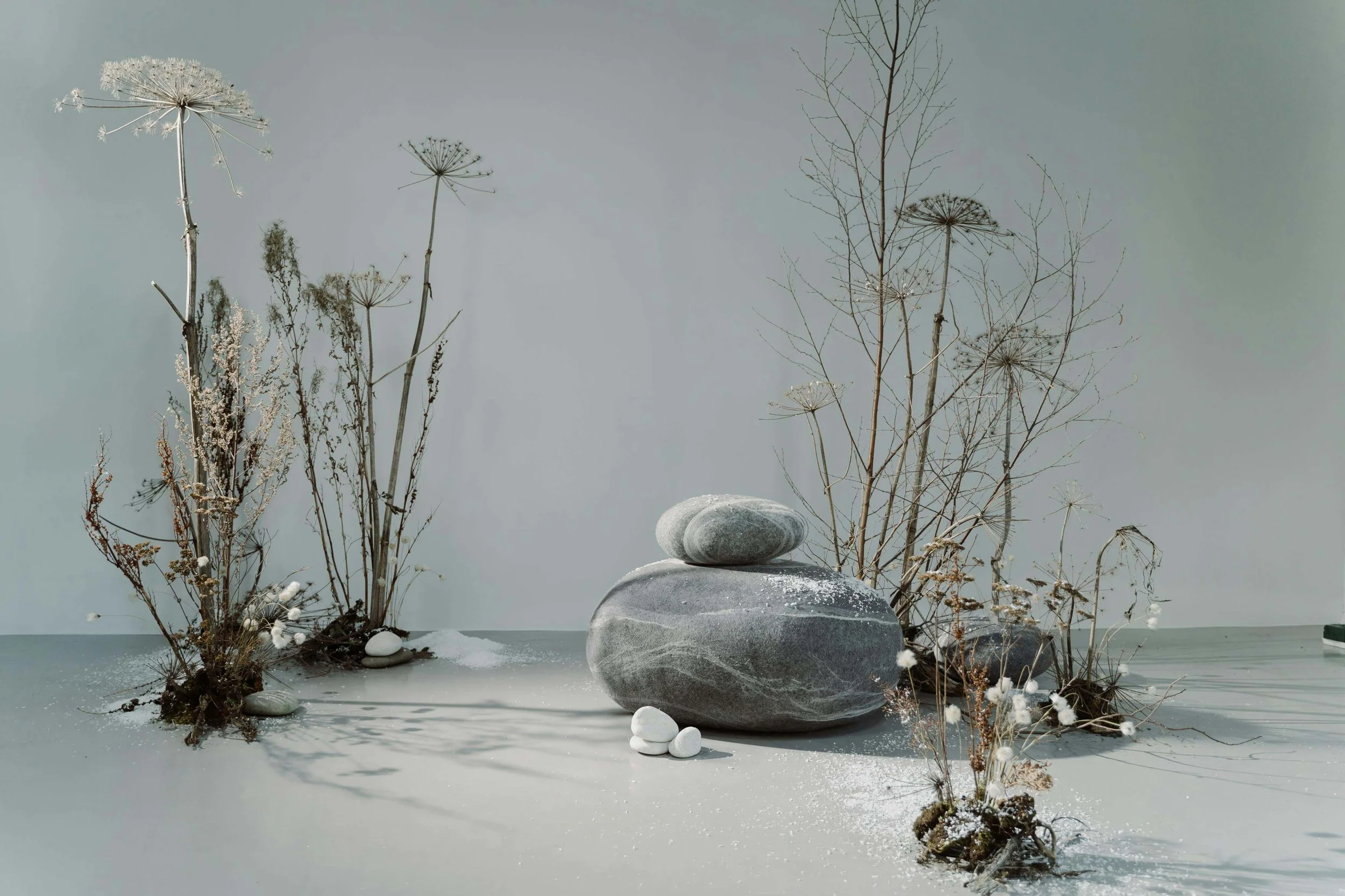 Gray Stones and Hogweed Plants