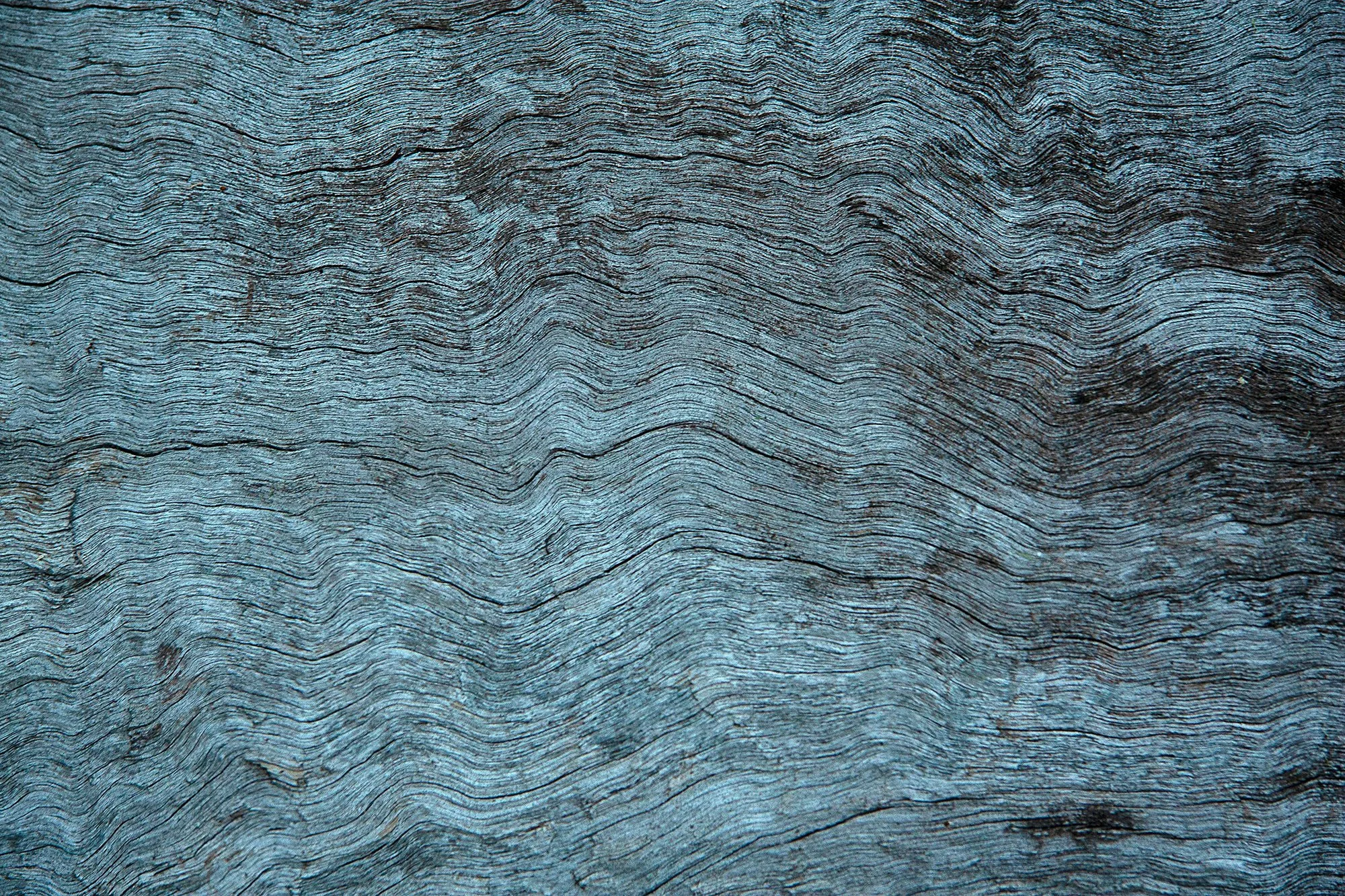 Fine Ridges on Wood