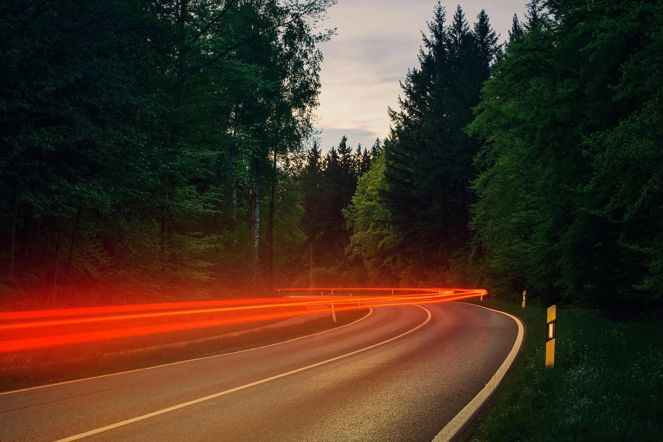 Gray Asphalt Road Between Green Trees Timelapse Tail Lights
