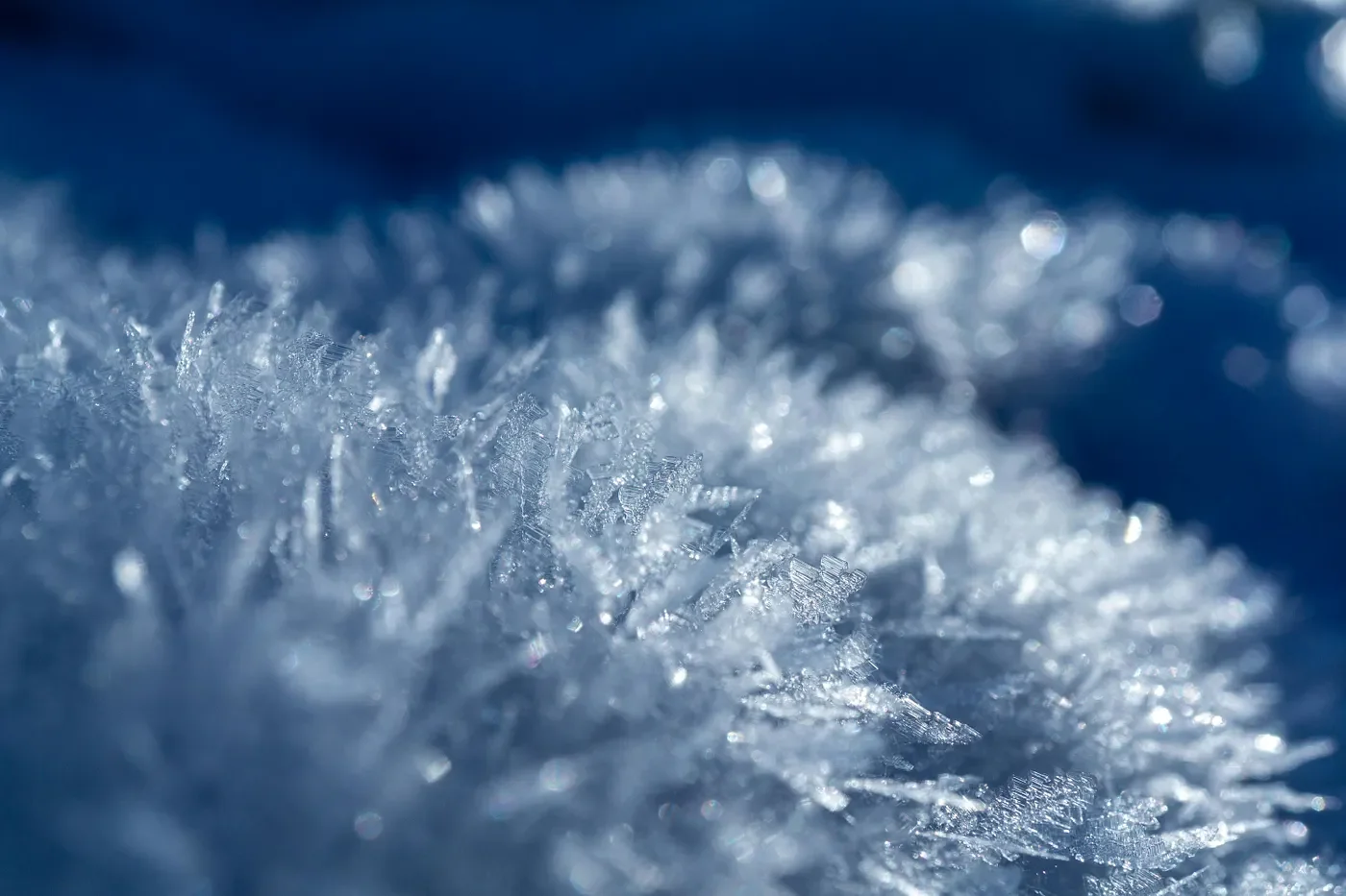 Close-up of delicate snow crystals sparkling in blue winter light