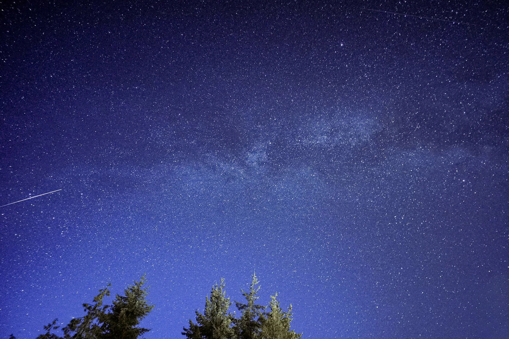 Starlit Night Sky Over Forest with Shooting Star