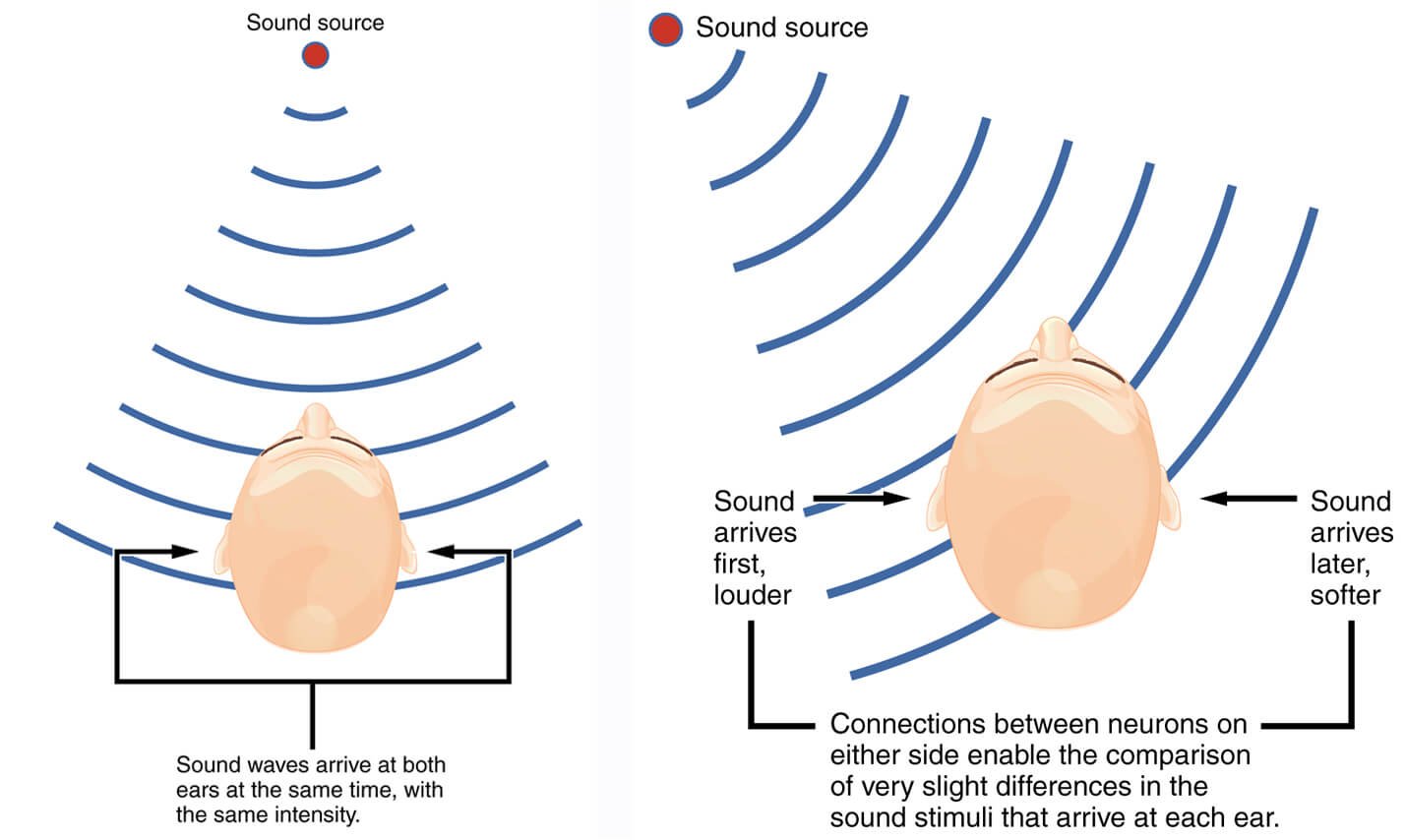 Sound localization diagram
