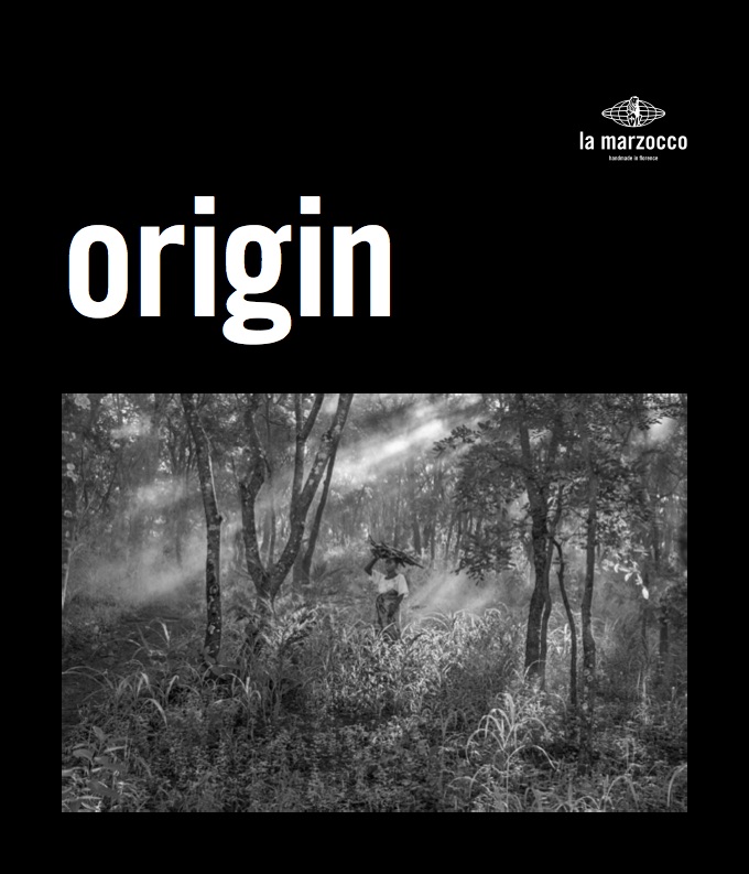 Origin by Jakob de Boer copy (dragged).jpg