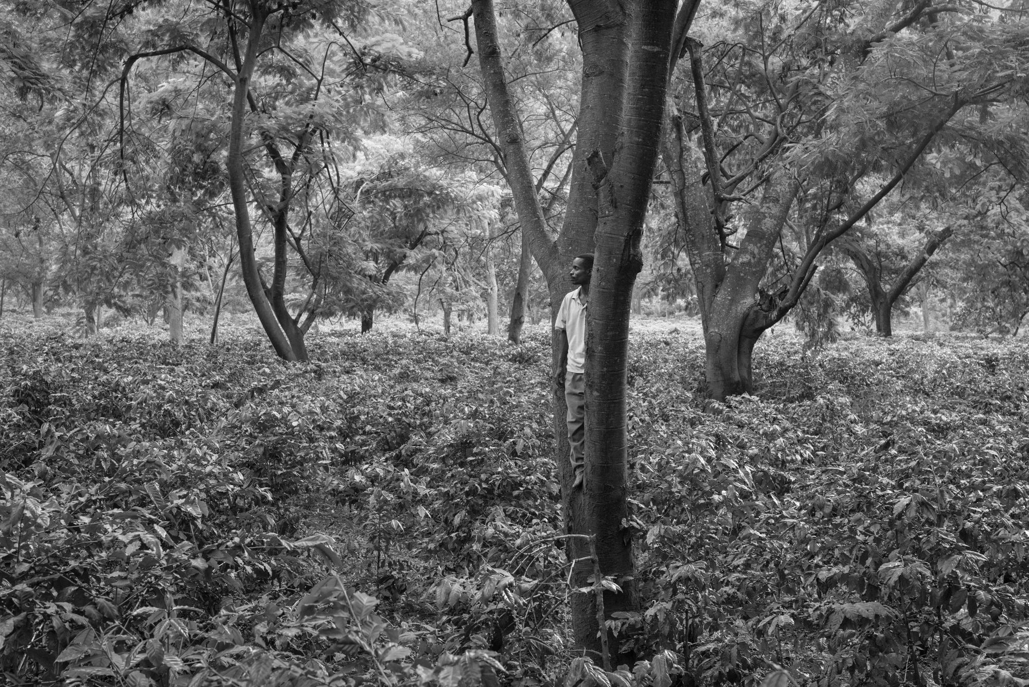 Gallery — Jakob de Boer