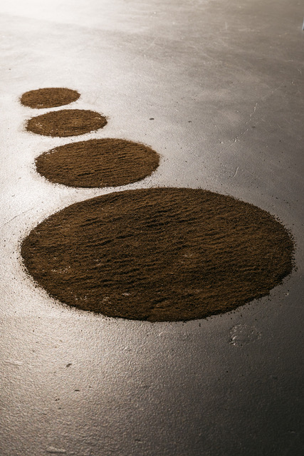 After roadworks beside my house had pushed mounds of earth to one side, I collected some and included it in circles as part of my installation in Webb gallery. Photo: Joe Ruckli.