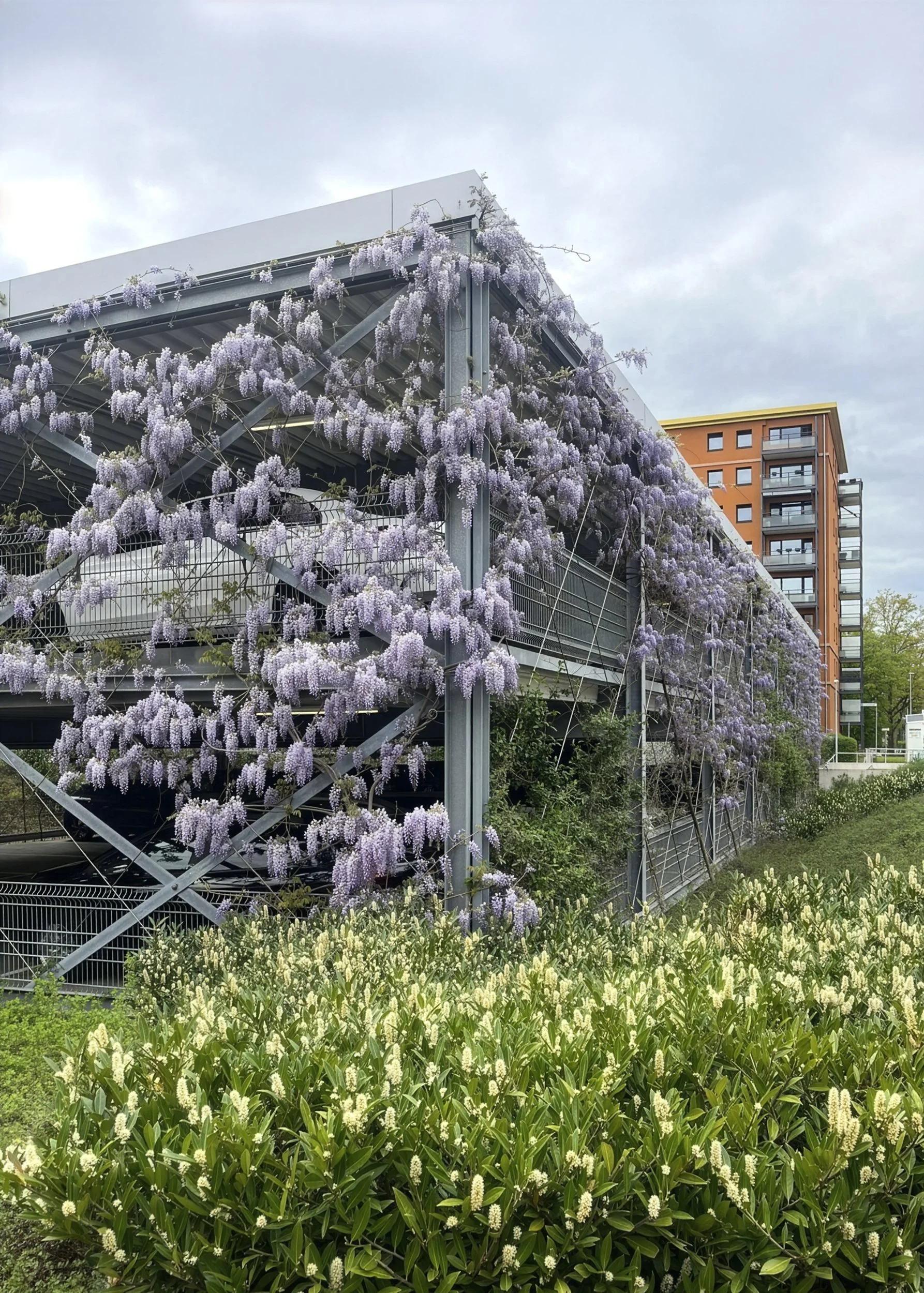 JL26014-9999_Eicker Wiesen_Parkhaus.jpg
