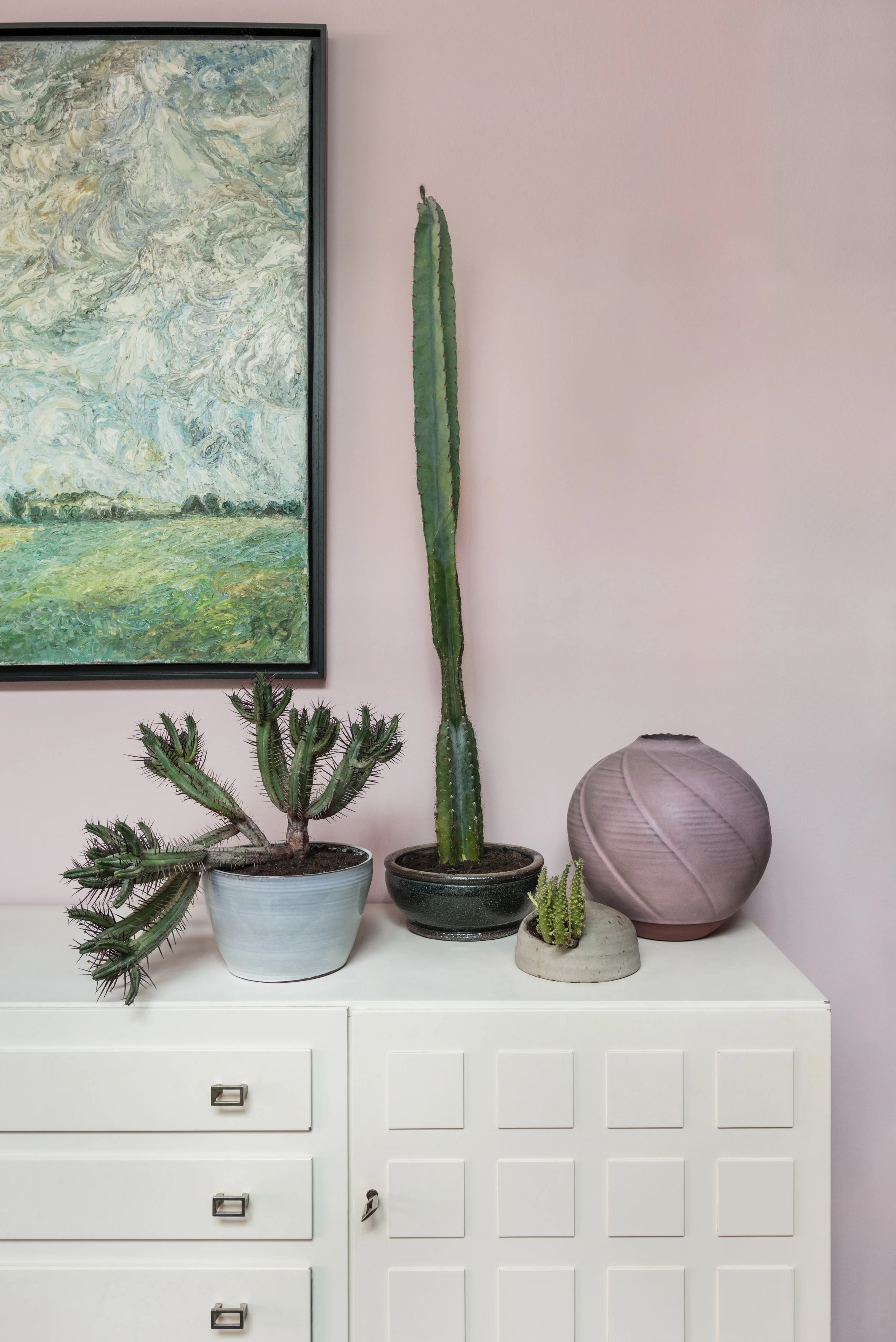 Photography: Noortje Knulst for Wonderplants 2, Lannoo Press, june 2018.