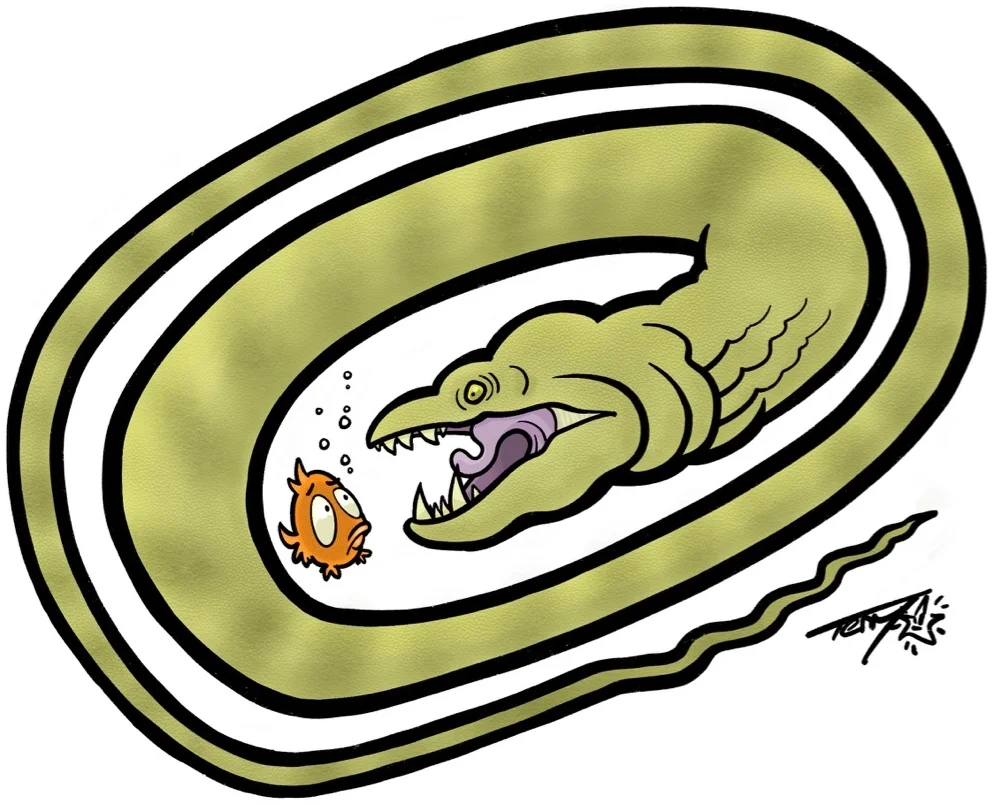 #AddAFish 2.jpg