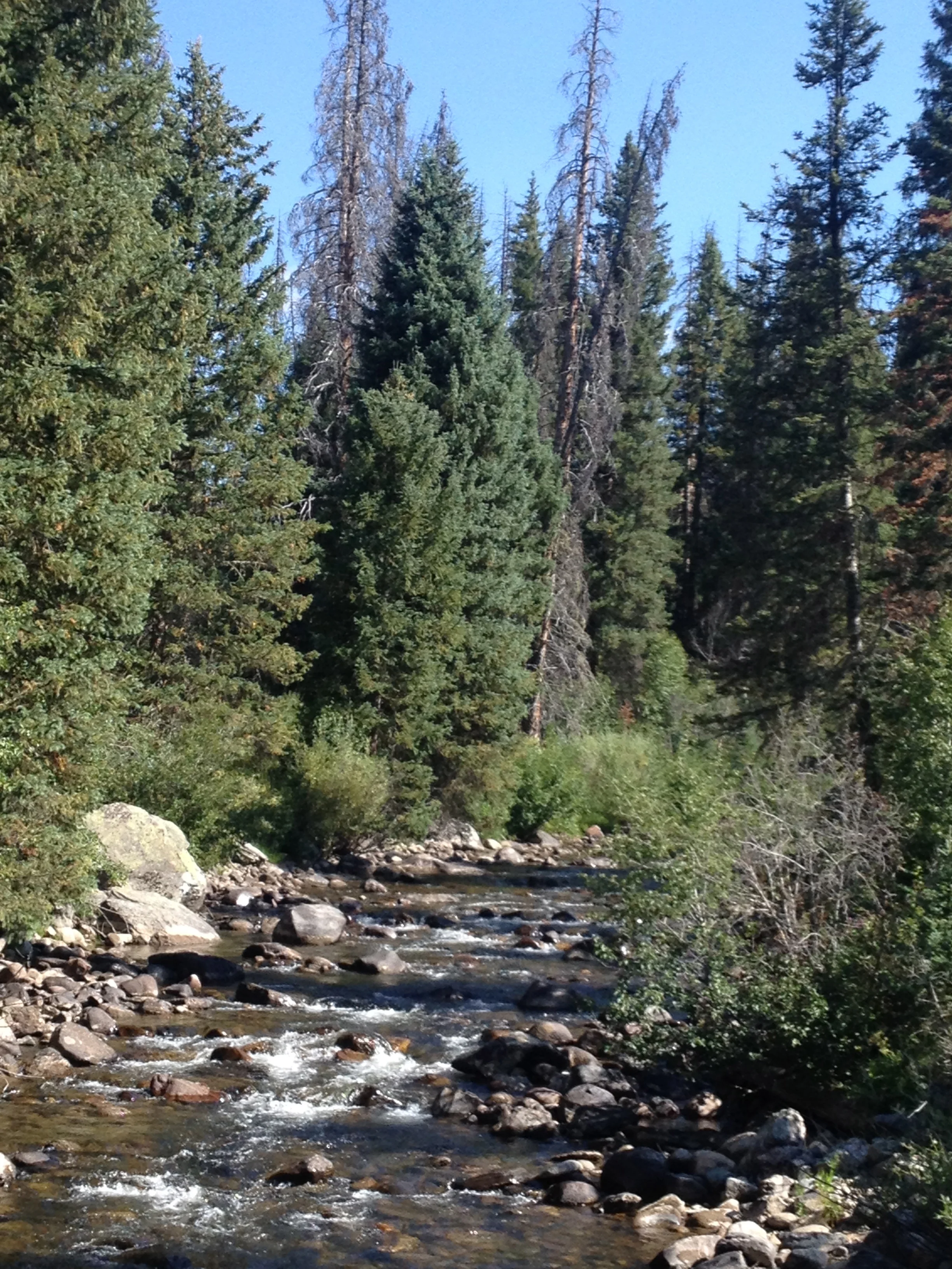 The river where my husband caught his first trout