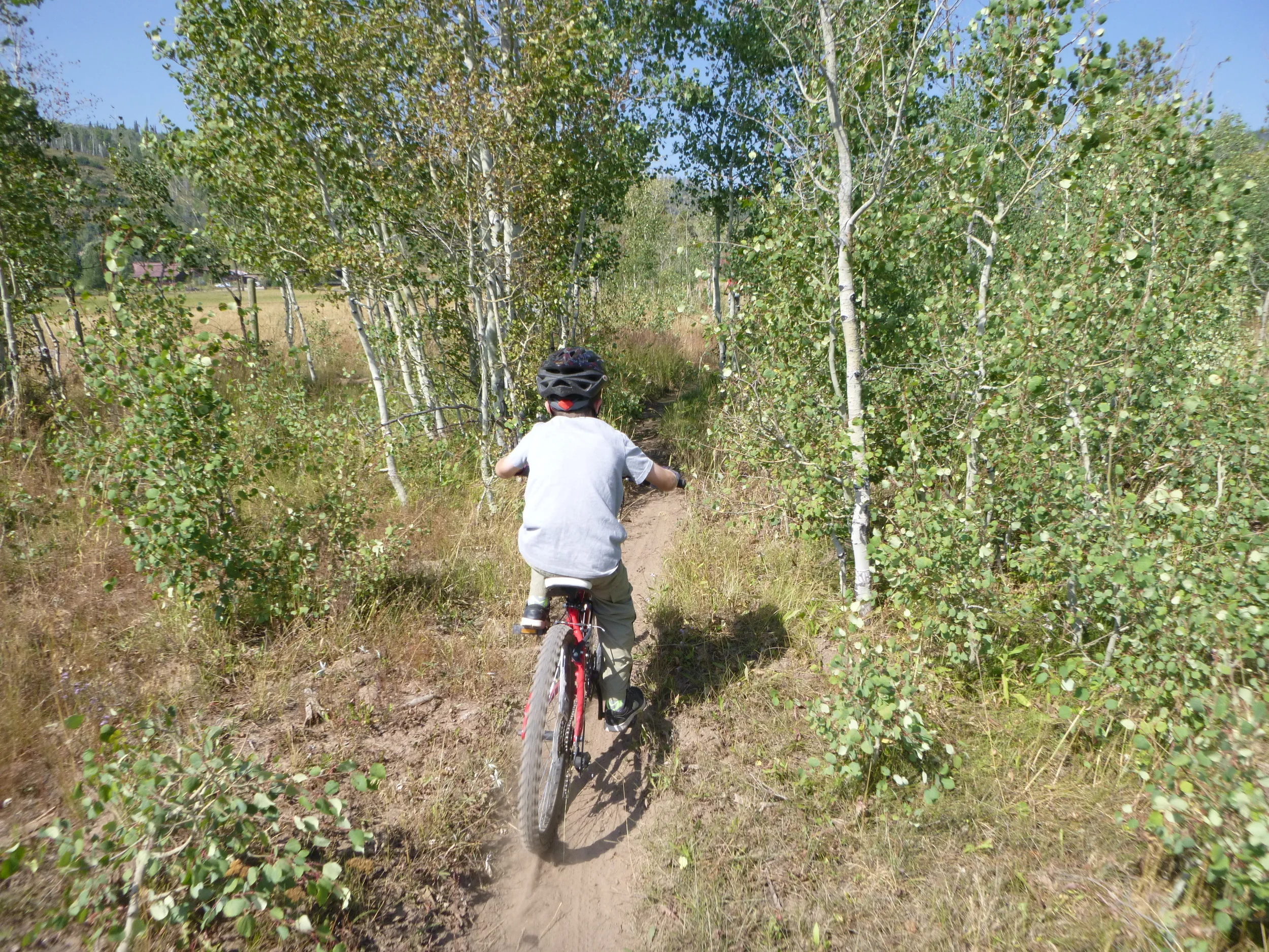 Our eight-year-old mountain biking on single track