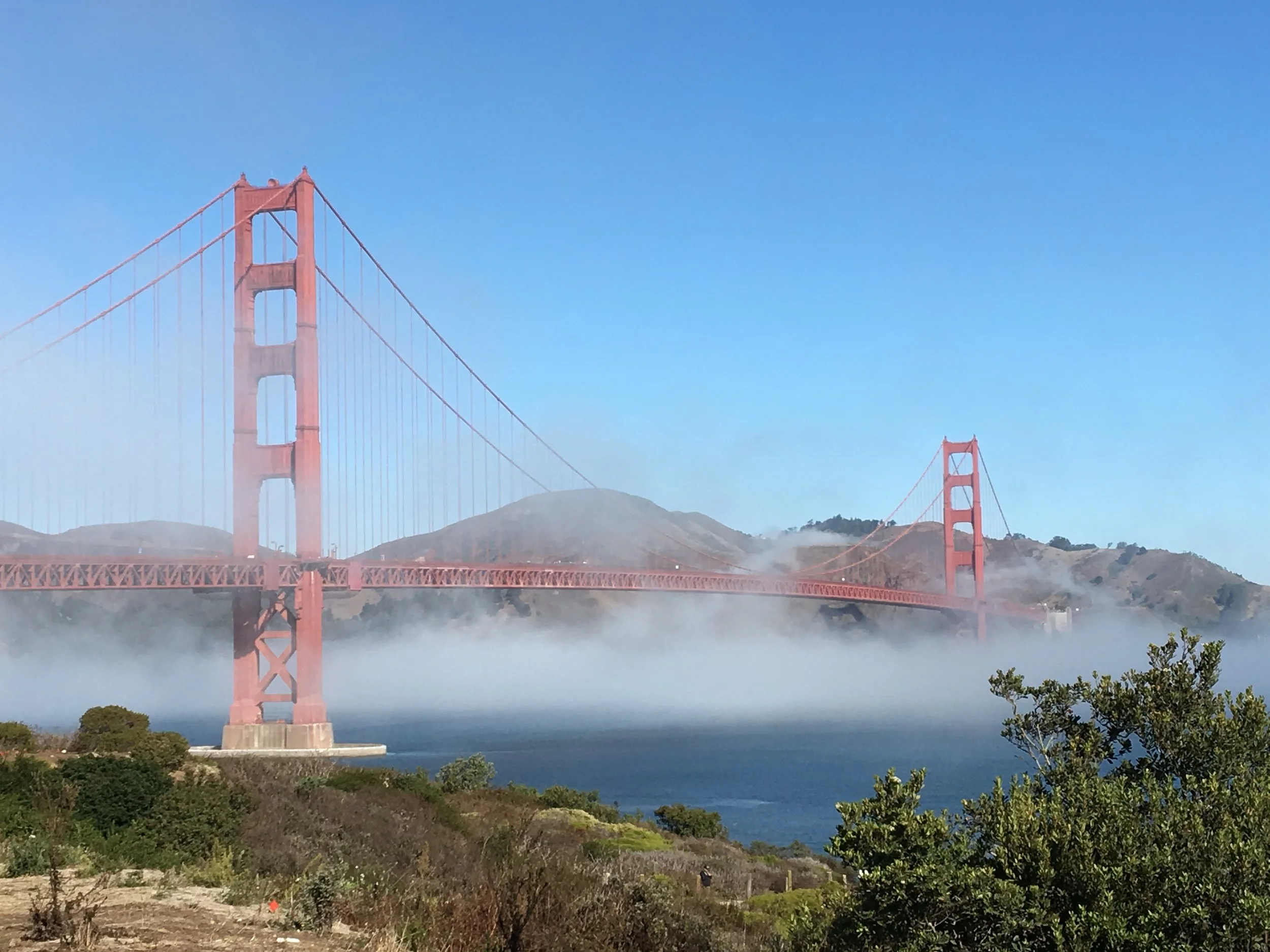 IMG_5193.JPG