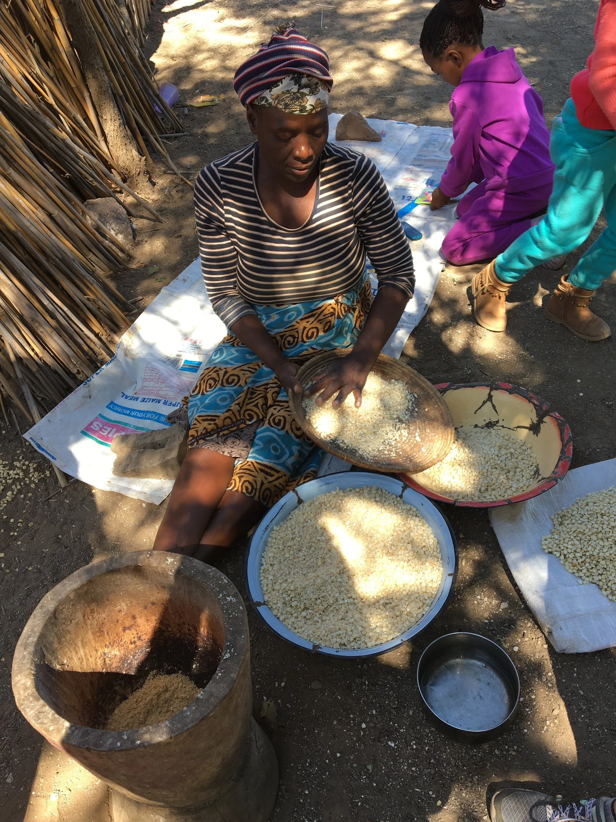 Separating corn kernels from corn in Mabele, Botswana