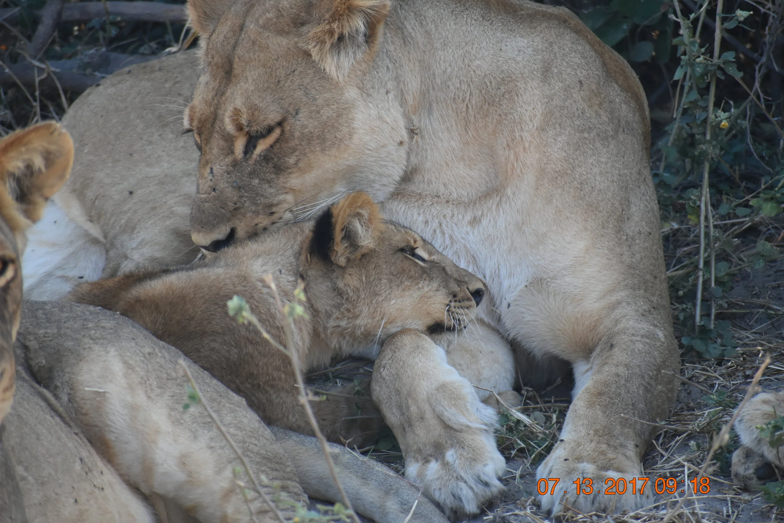 Mom and baby enjoy a snuggle, photo by Zoe S.