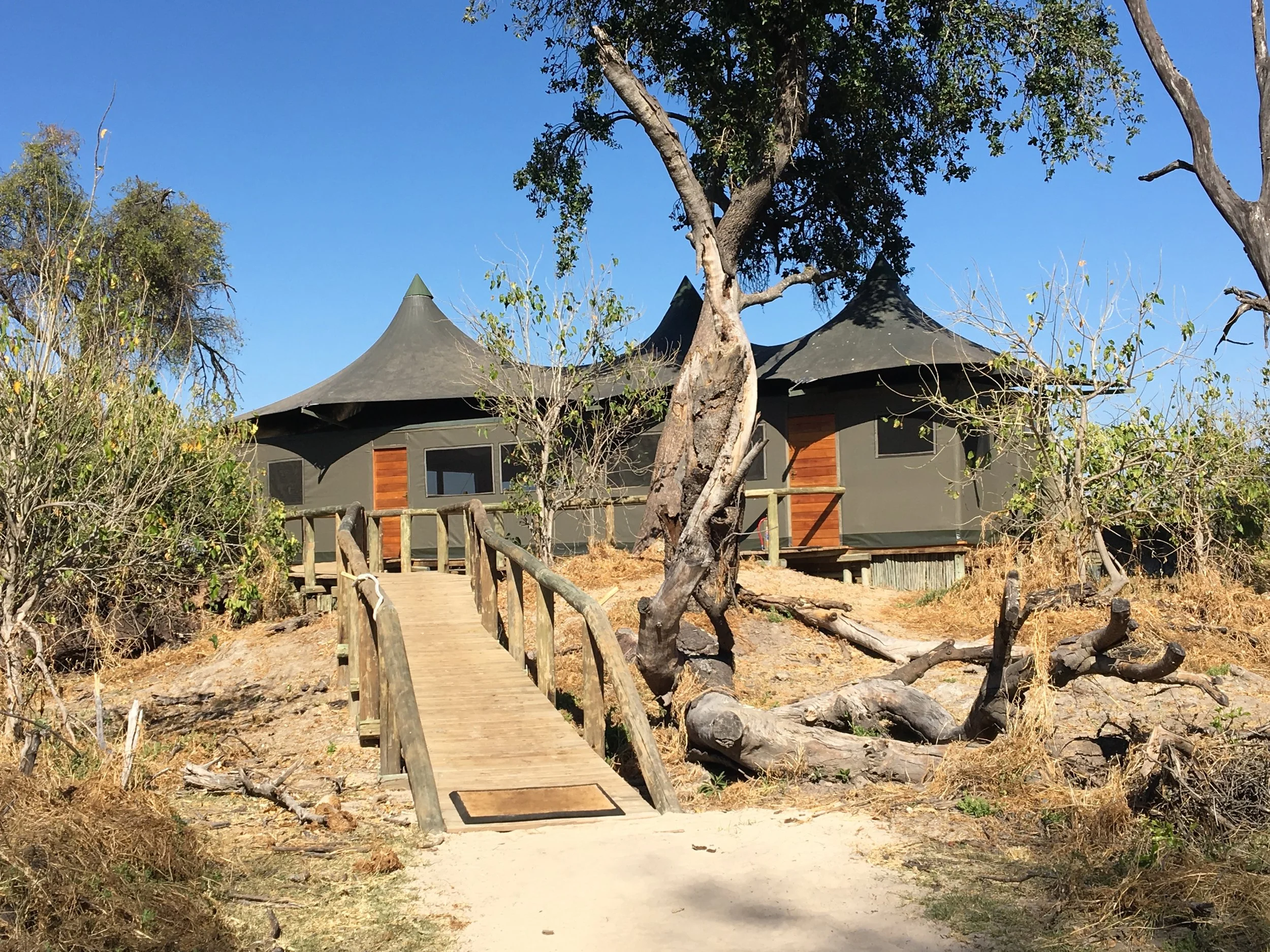 Yes, that is our family “tent”… Little Vuumbura, Okavango Delta, Botswana