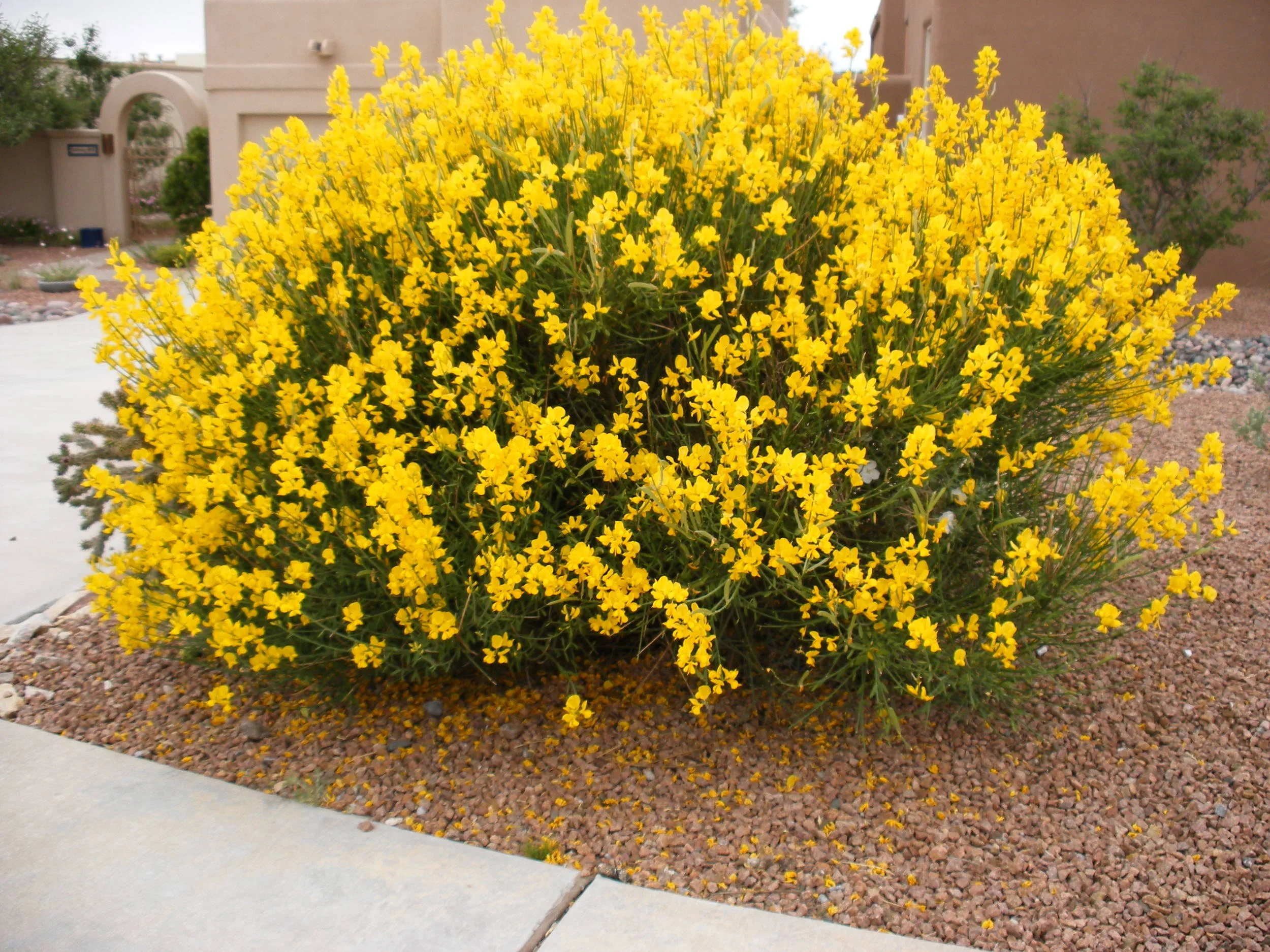 2007_05060020 copy.JPG