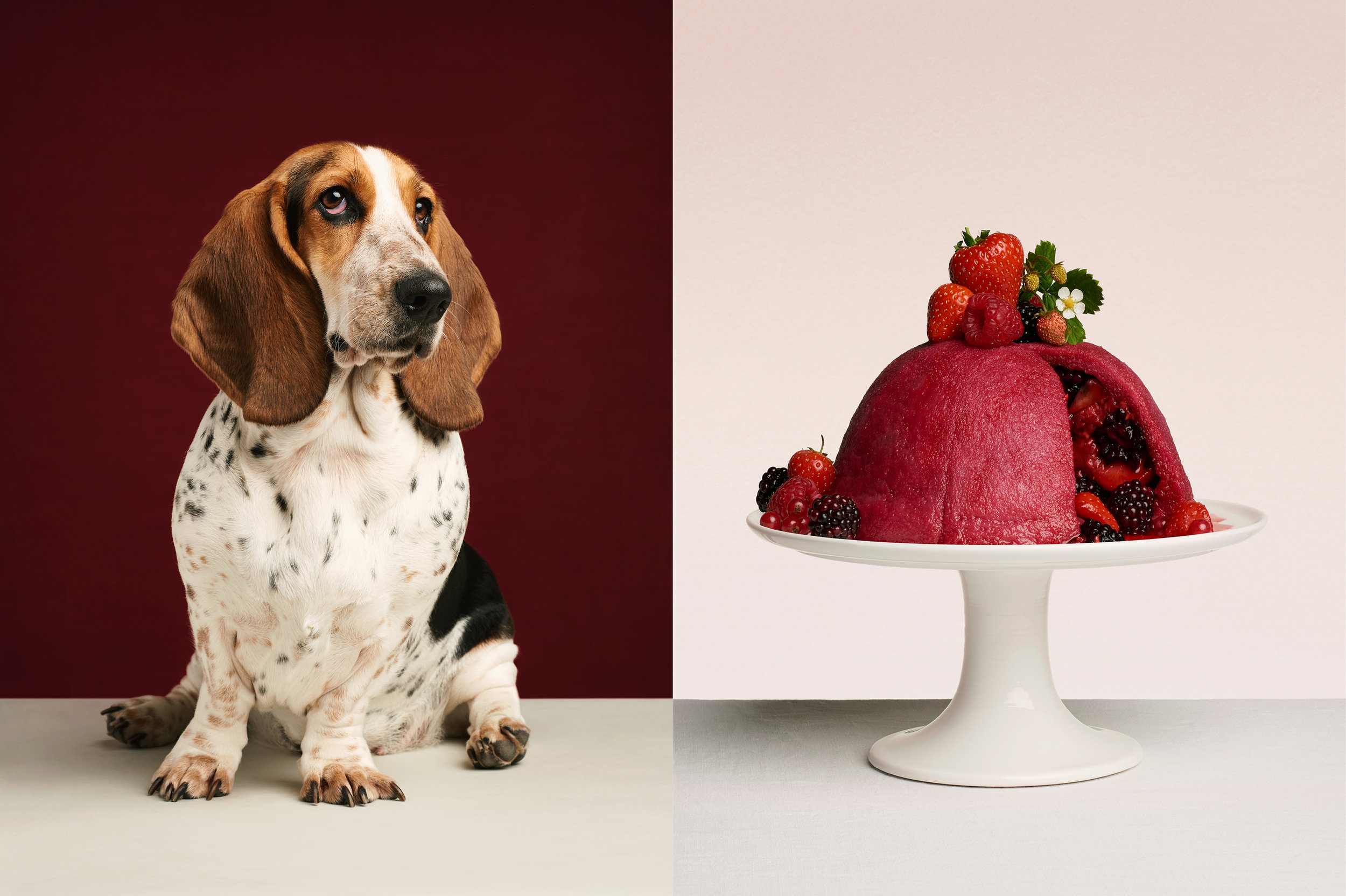    The Gourmand    ©Jess Bonham  