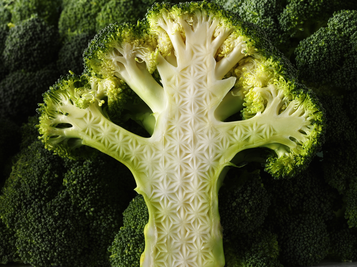   © hilary moore    personal project- broccoli  