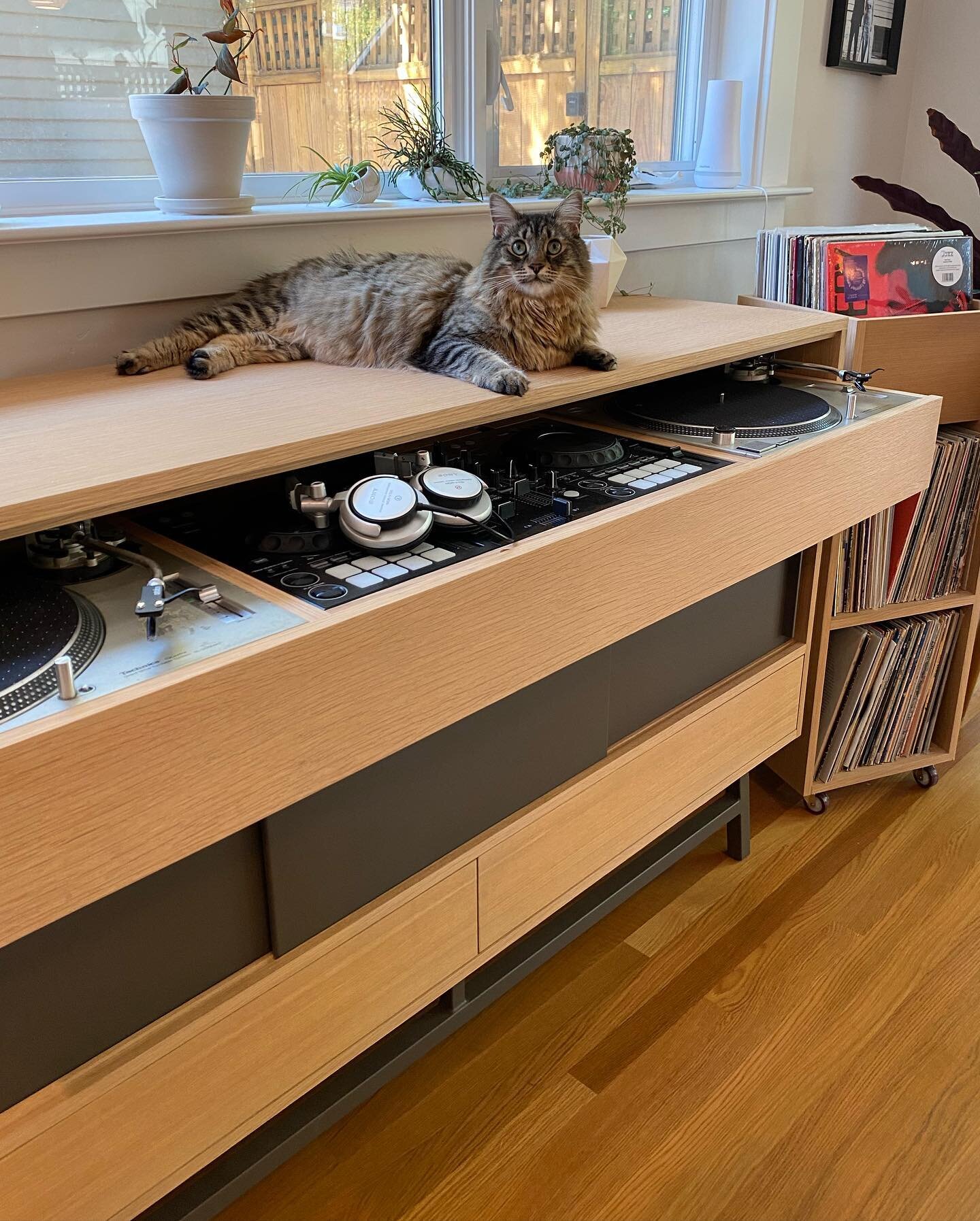 Here&rsquo;s Milo, testing out the new credenza. 😻 The top of the big drawer stops flush with the gear for comfort, but I also like how the turntables and mixer peek out, never fully hidden from view.