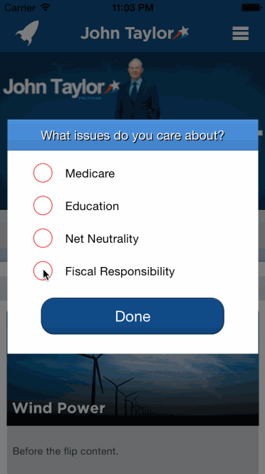 Message Advocates by Issue