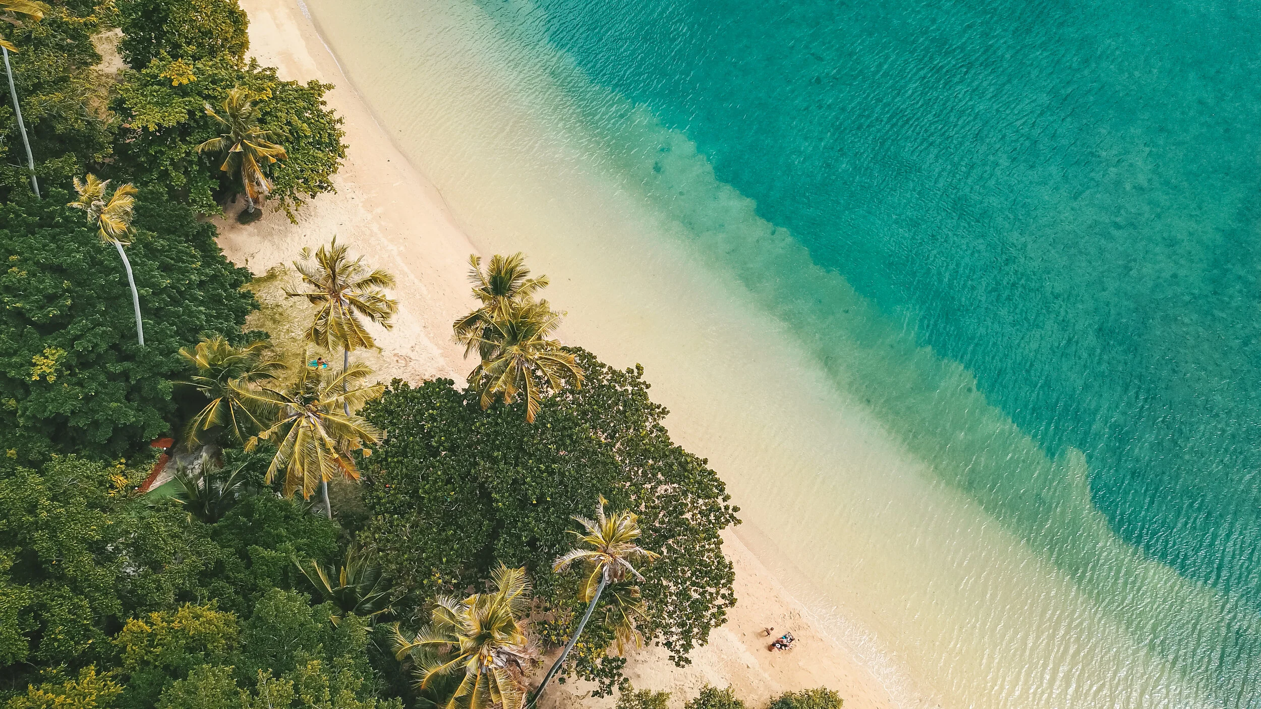 DJI_0015-2.jpg
