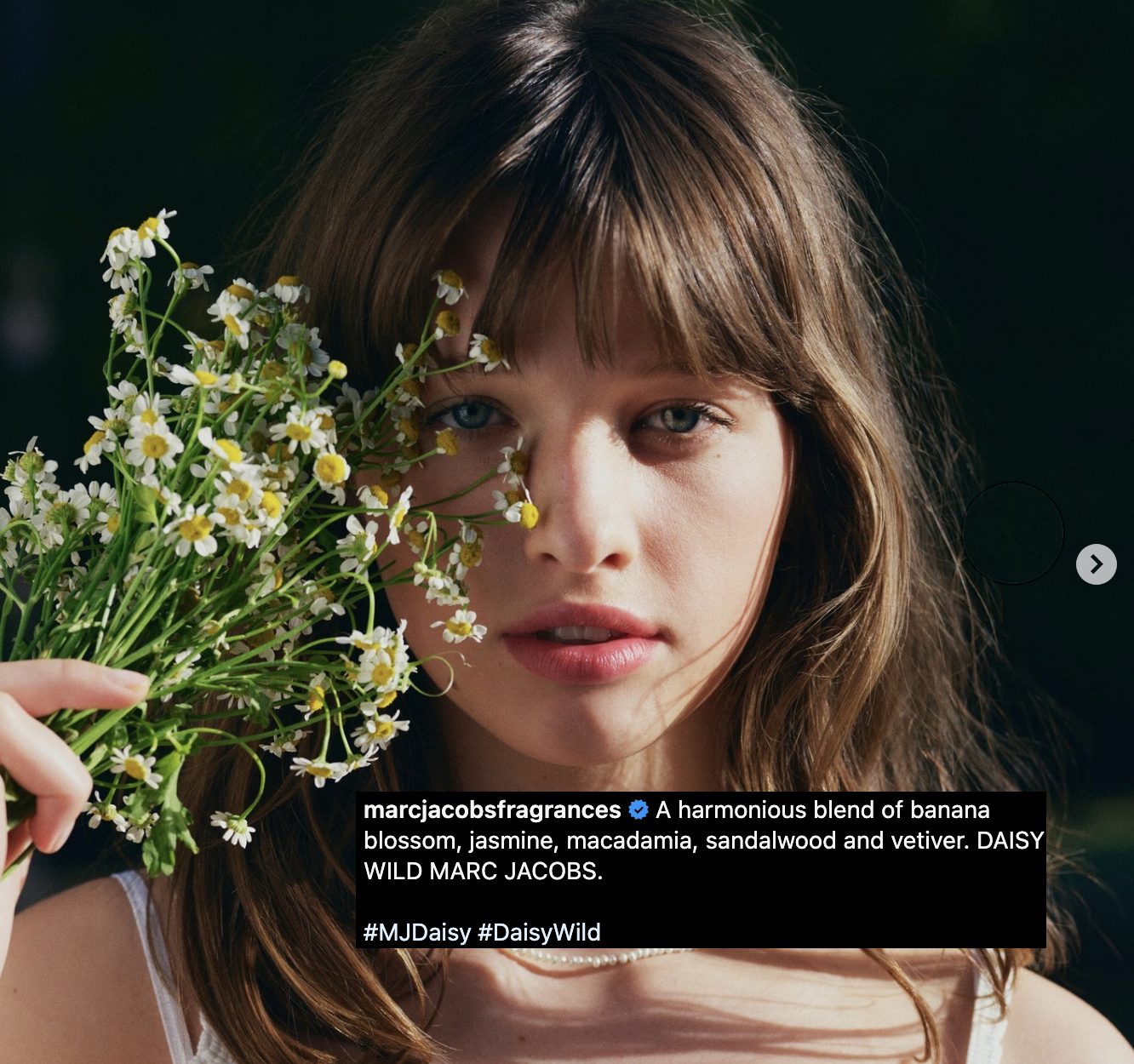 Screenshot 2024-06-24 at 8.26.00 PM.png