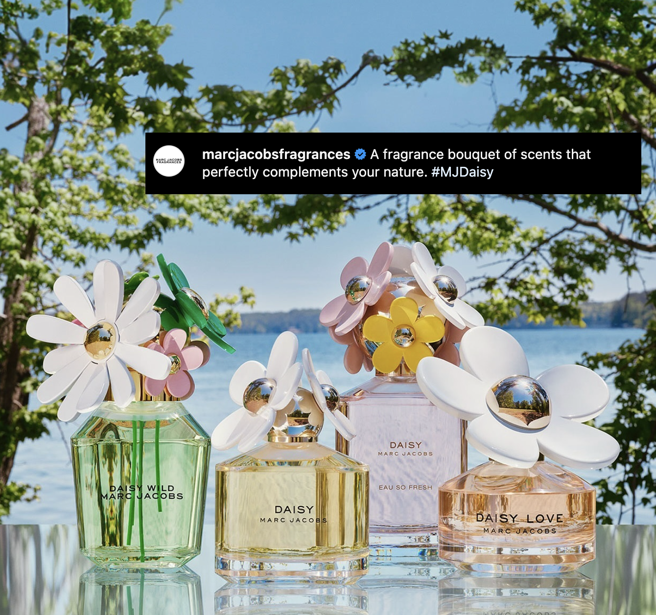 Screenshot 2024-06-24 at 8.26.52 PM.png