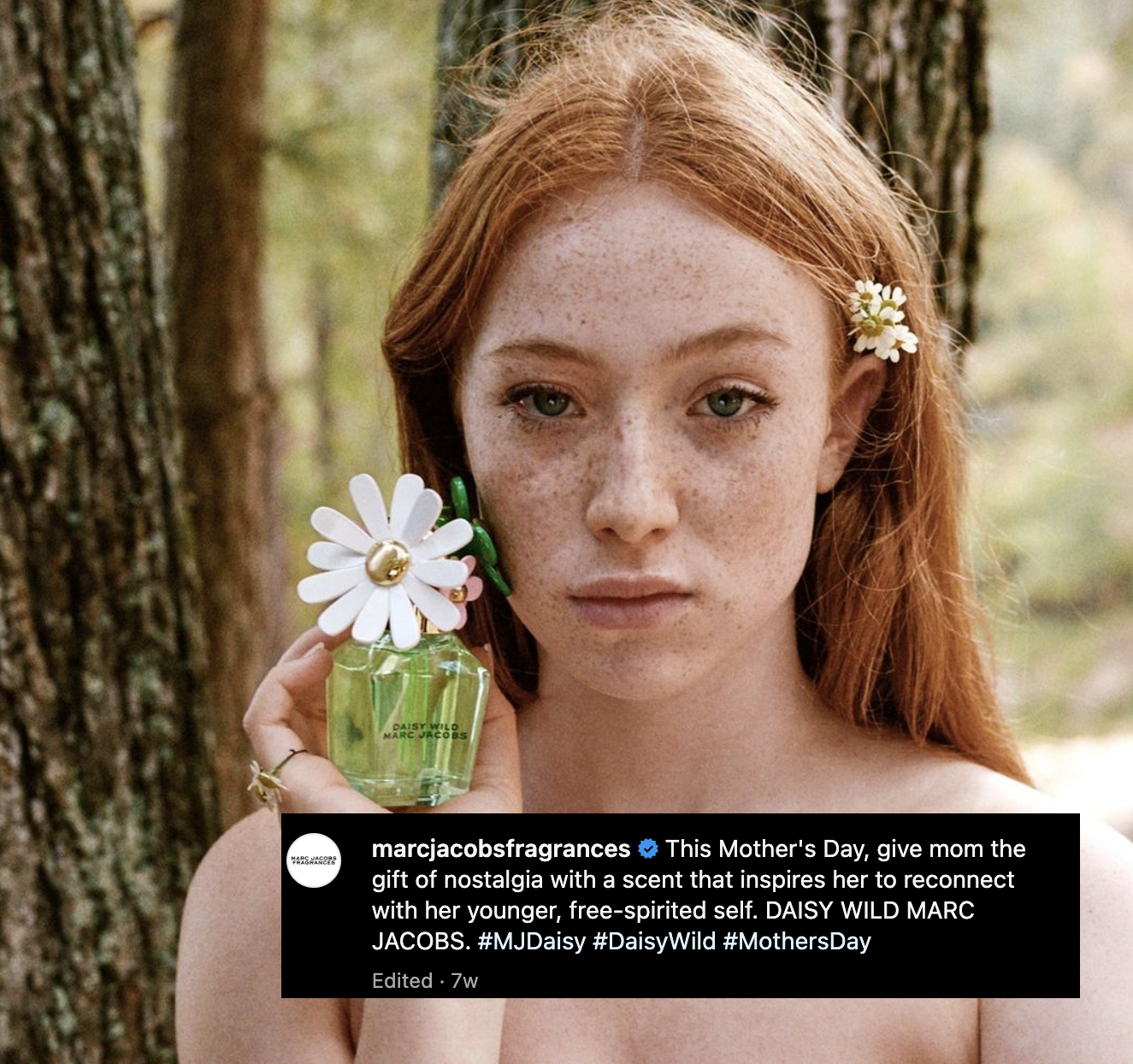 Screenshot 2024-06-24 at 8.26.36 PM.png