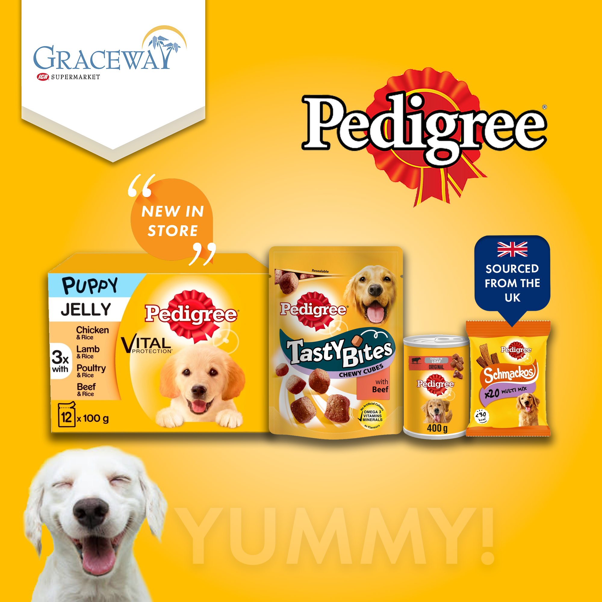 Pedigree copy.png