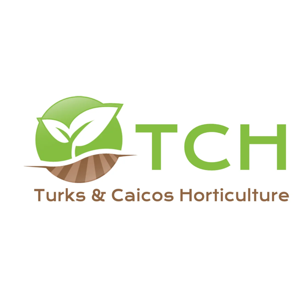 Screenshot 2026-03-23 131141.png