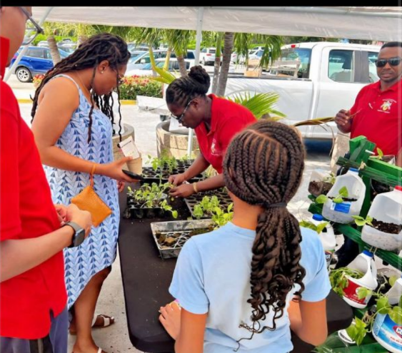 Screenshot 2026-03-23 151848 - Copy.png