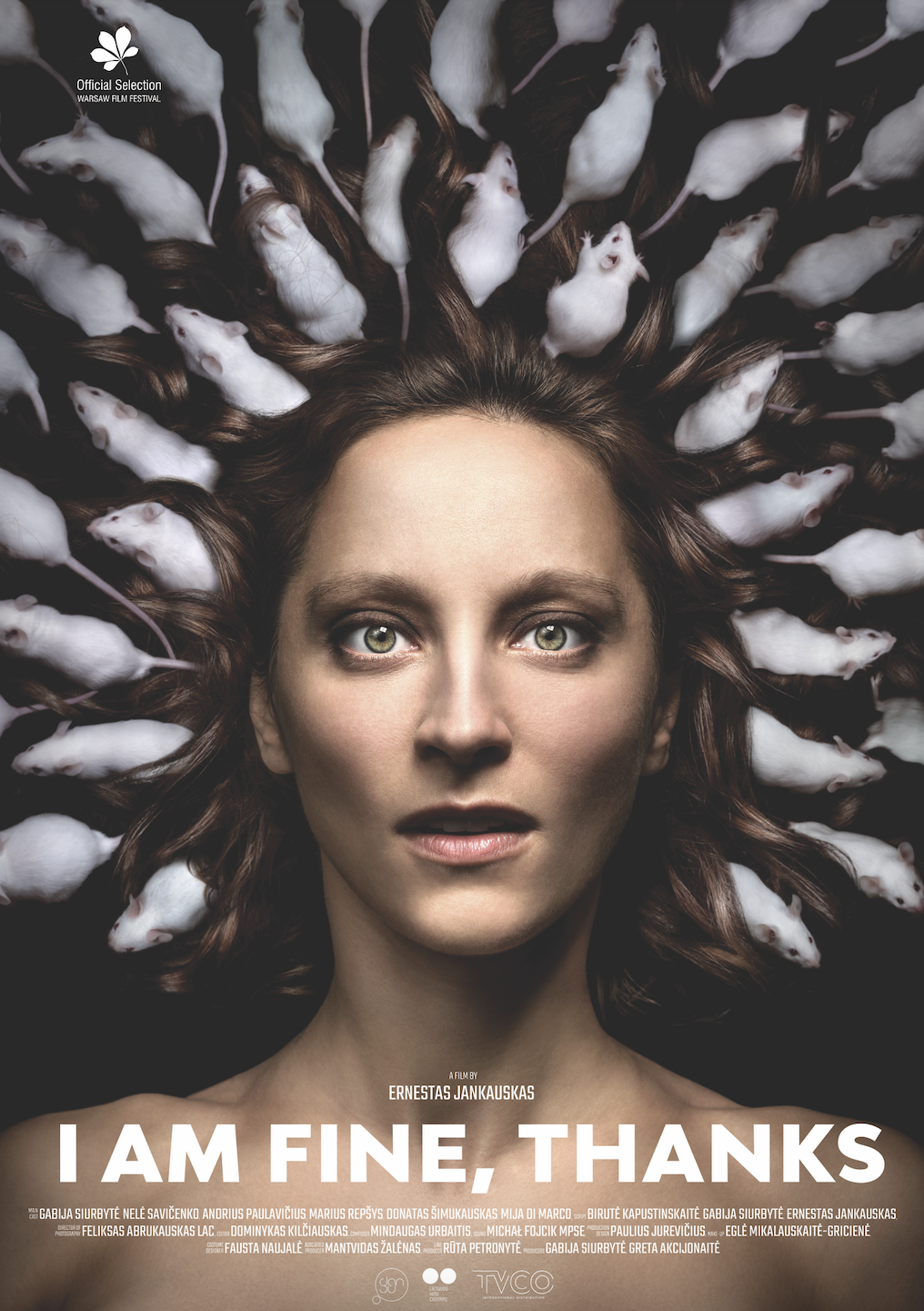 Man viskas gerai_plakatas_en.png