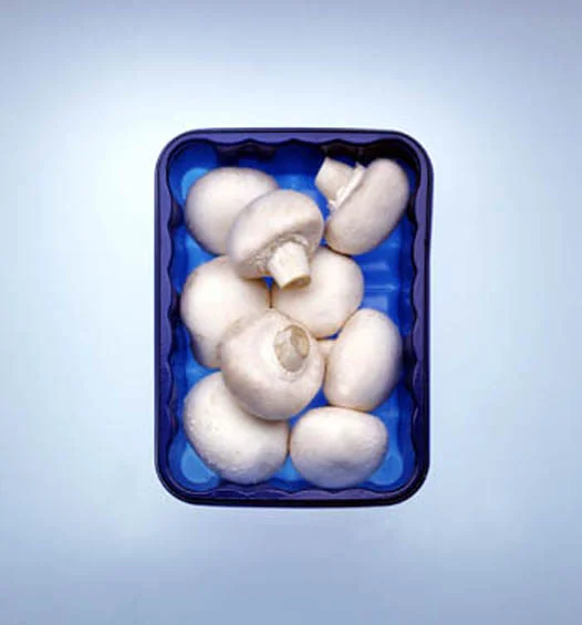 mushrooms.jpg