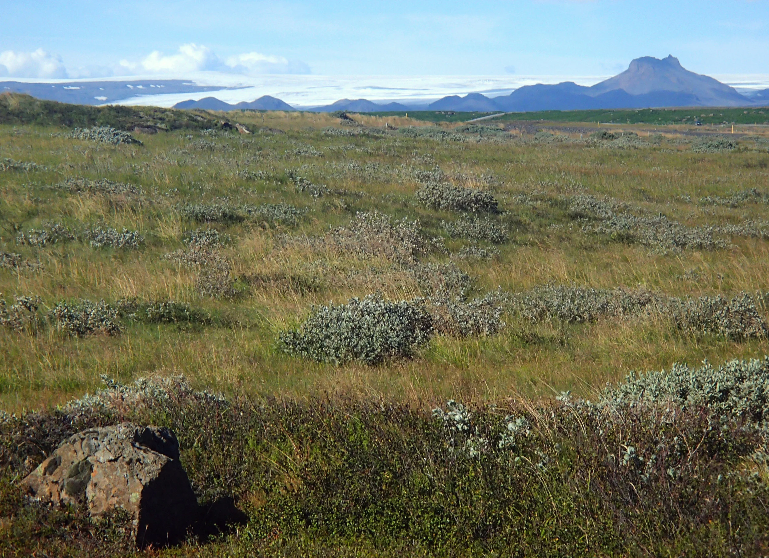 LANGJÖKULL + JARLHETTUR.
