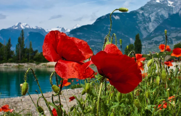 Alpen.