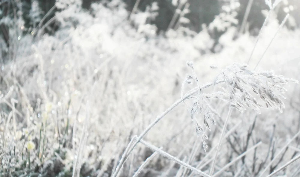 o15 Frost, Sandvadet.