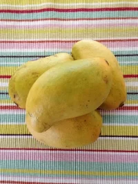 Ataulfo mangoes