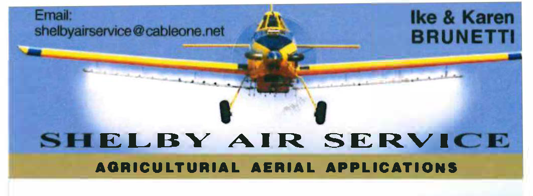 Shelby Air Service.png
